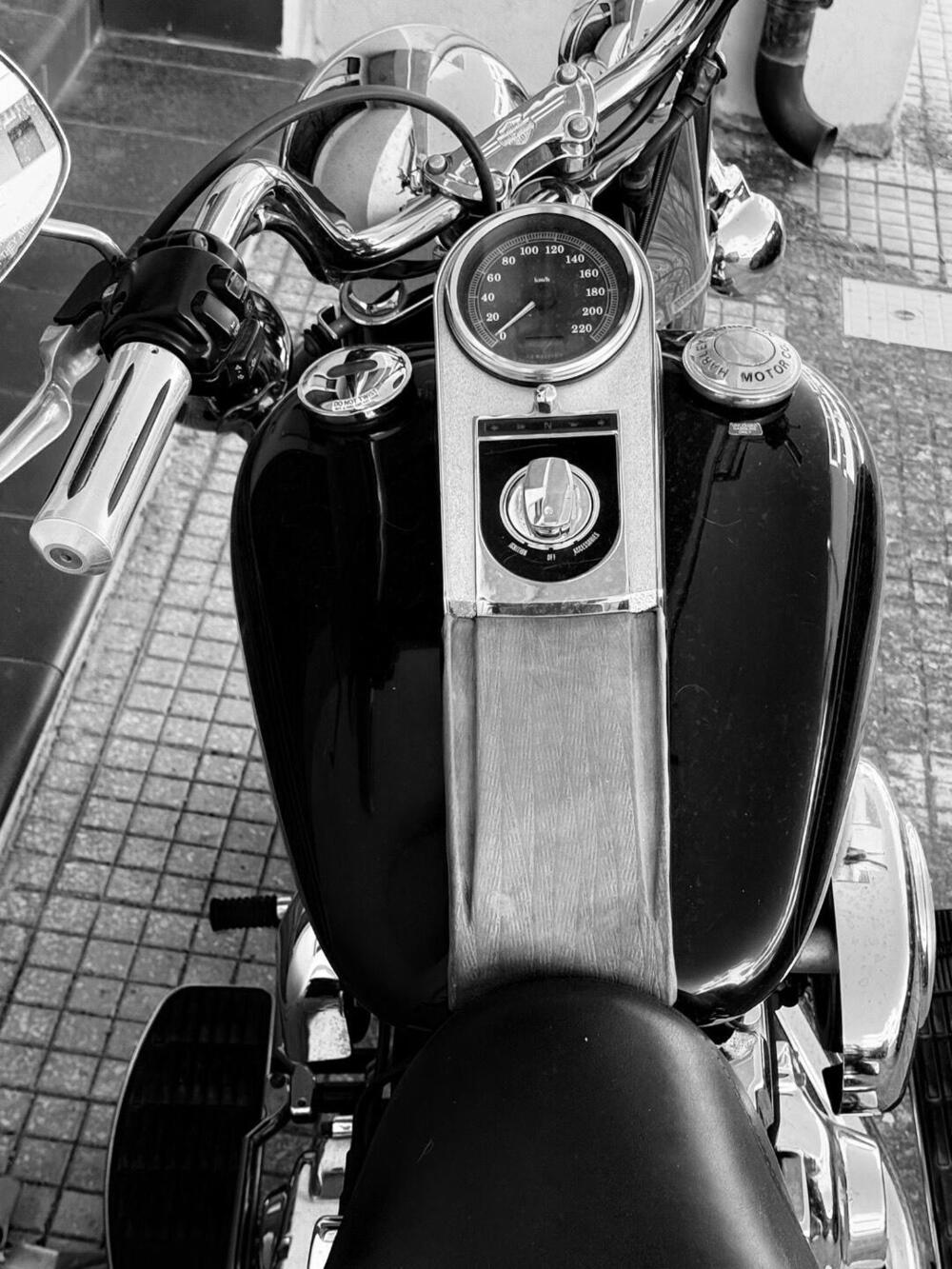 Harley-Davidson 1450 Heritage Classic (1999 - 02) - FLSTC (5)