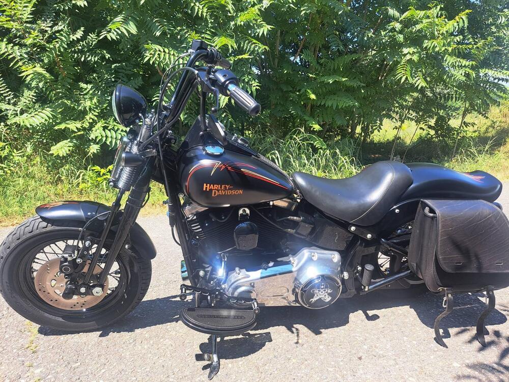 Harley-Davidson 1584 Cross Bones (2008 - 11) - FLSTSB (2)