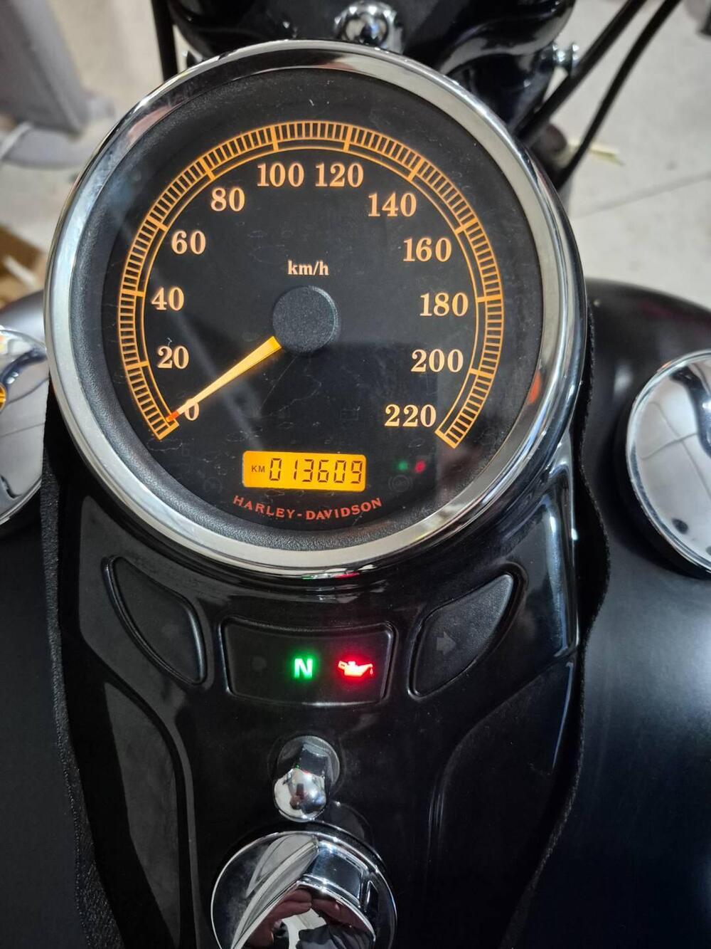 Harley-Davidson 1584 Cross Bones (2008 - 11) - FLSTSB (3)