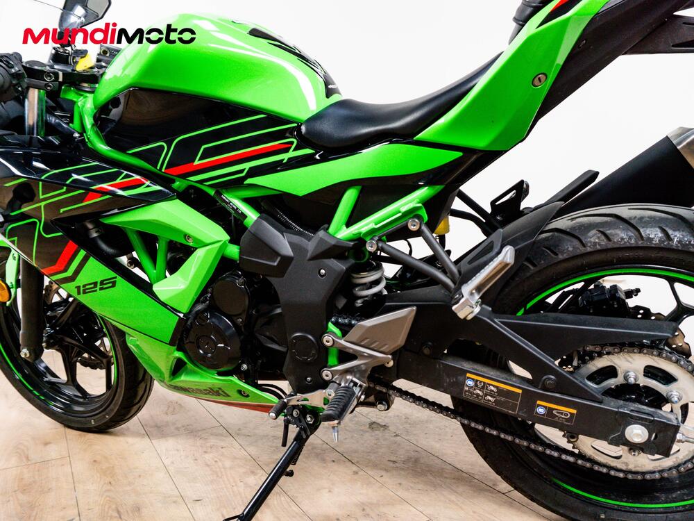 Kawasaki Ninja 125 (2025 - 26) (10)