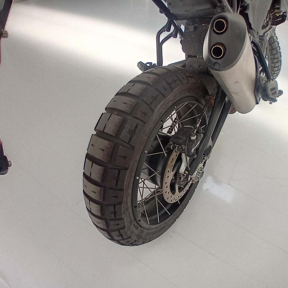 Ducati DesertX (2022 - 25) (6)