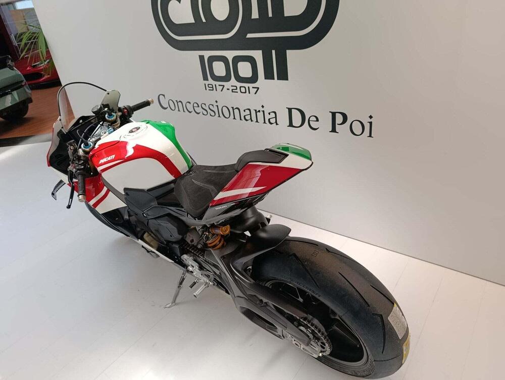 Ducati Panigale V4 (2025 - 26) (3)