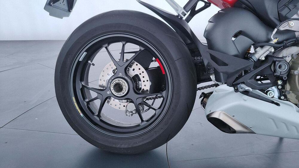 Ducati Streetfighter V4 S (2023 - 24) (15)