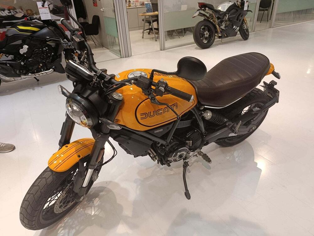 Ducati Scrambler 1100 Tribute Pro (2022 - 24)