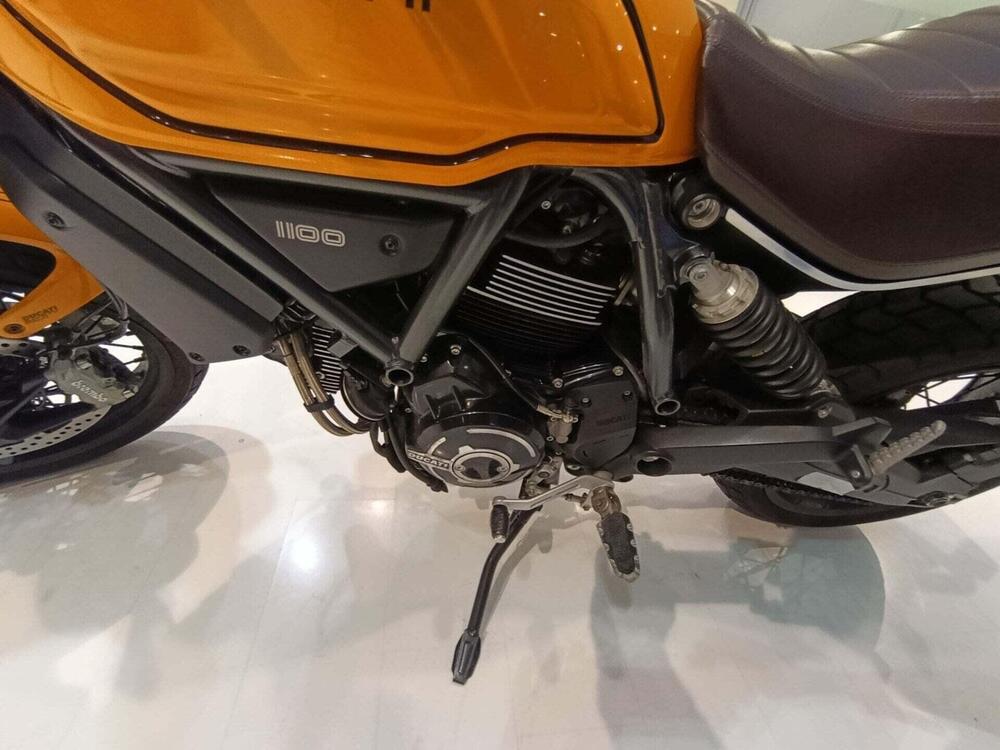Ducati Scrambler 1100 Tribute Pro (2022 - 24) (5)