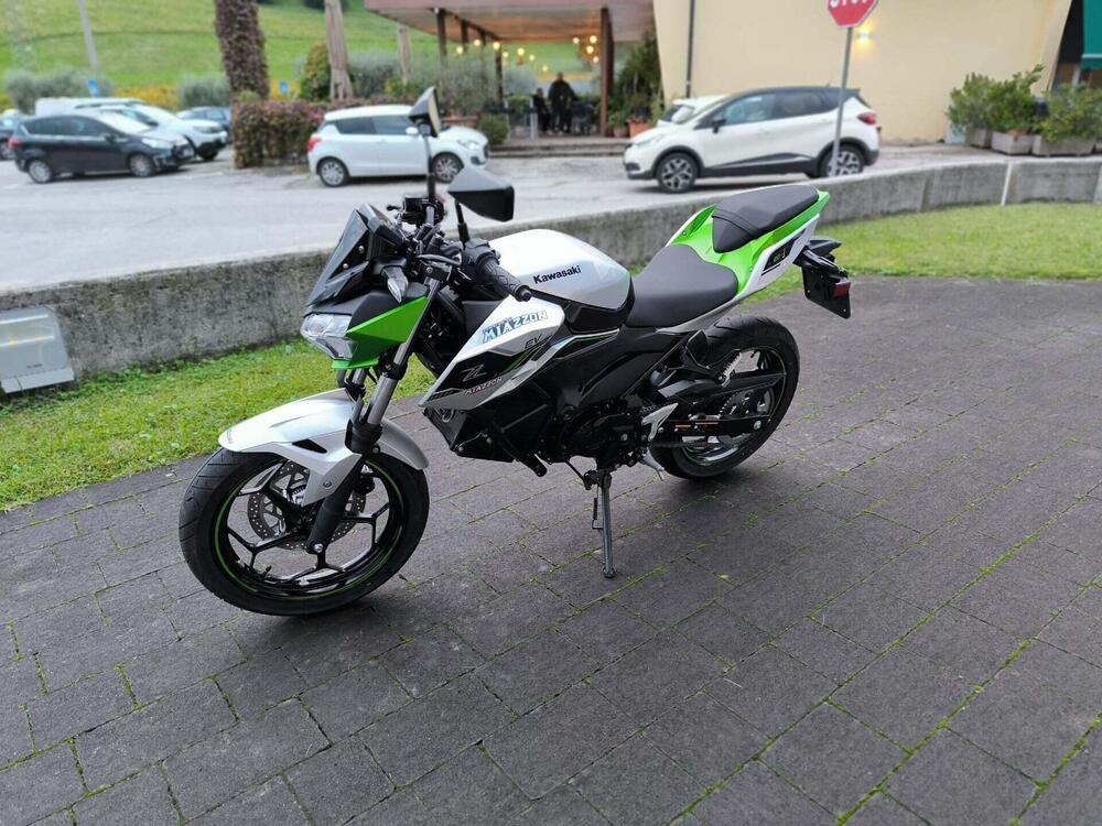 Kawasaki Z e-1 (2024 - 26) (2)