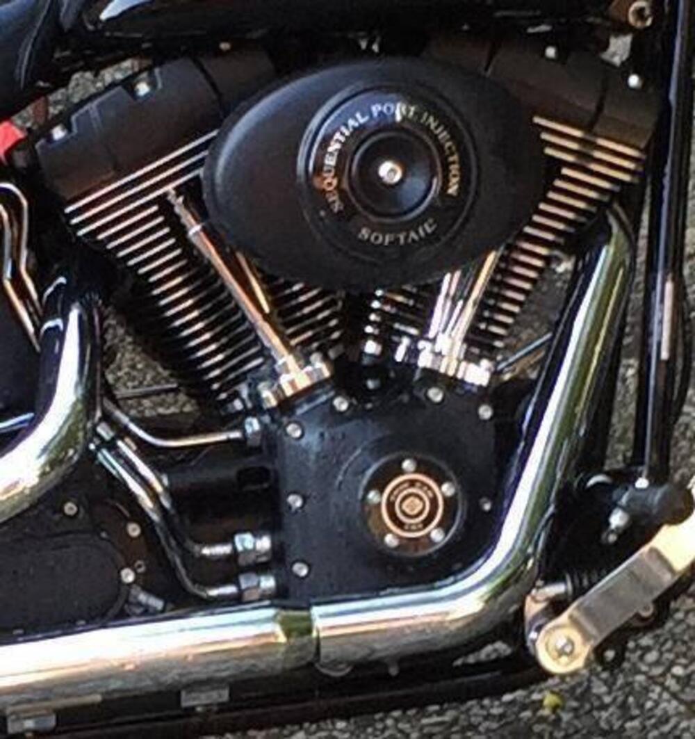 Harley-Davidson Softail  FXSTB Night Train (3)