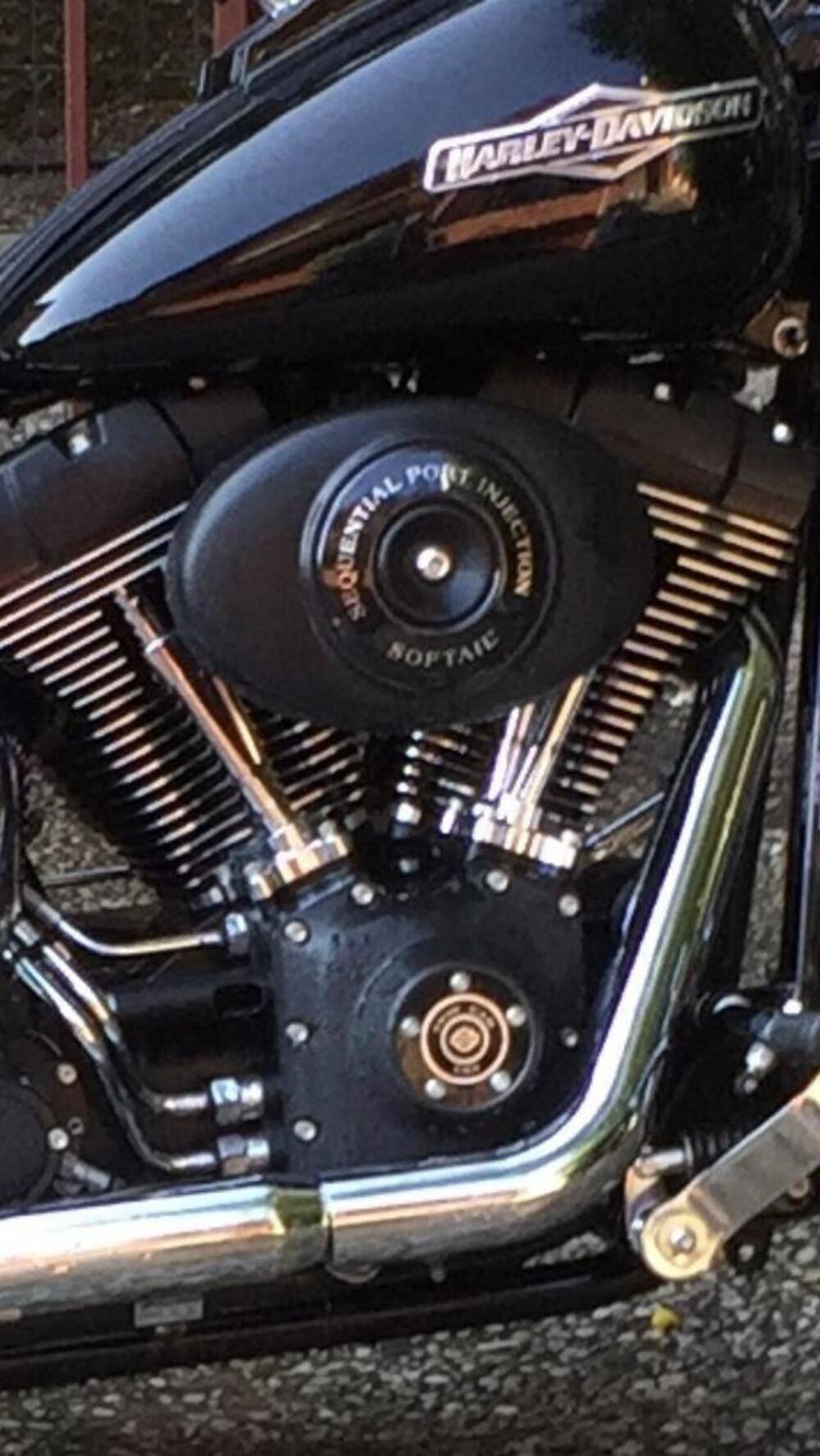 Harley-Davidson Softail  FXSTB Night Train (5)