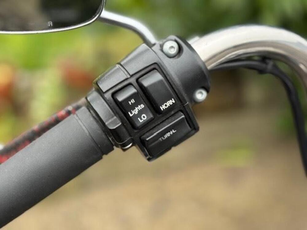 Harley-Davidson 1340 Springer (1990 - 98) - FXSTS (12)