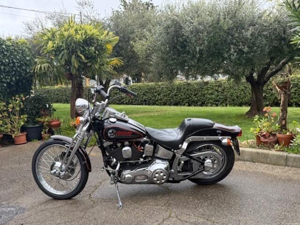 Harley-Davidson 1340 Springer (1990 - 98) - FXSTS (18)
