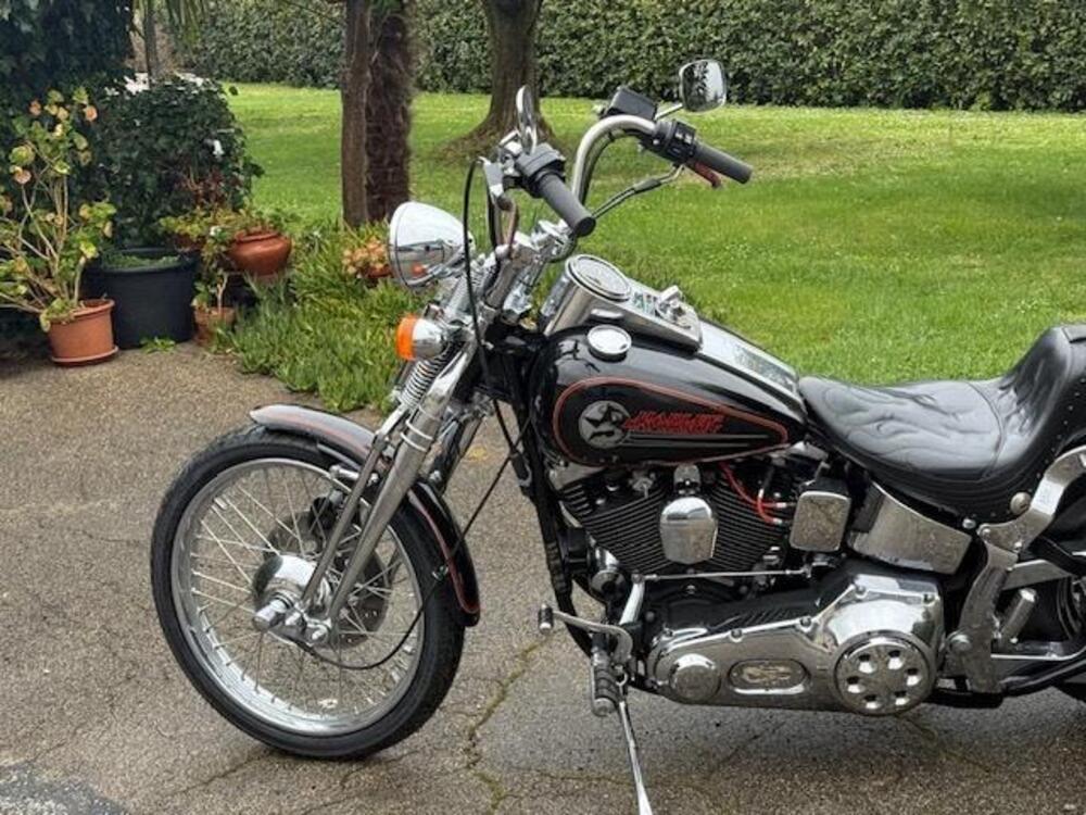 Harley-Davidson 1340 Springer (1990 - 98) - FXSTS (20)