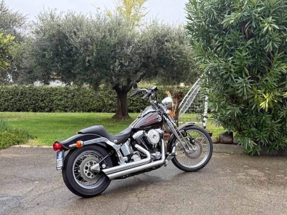 Harley-Davidson 1340 Softail Springer  (2)