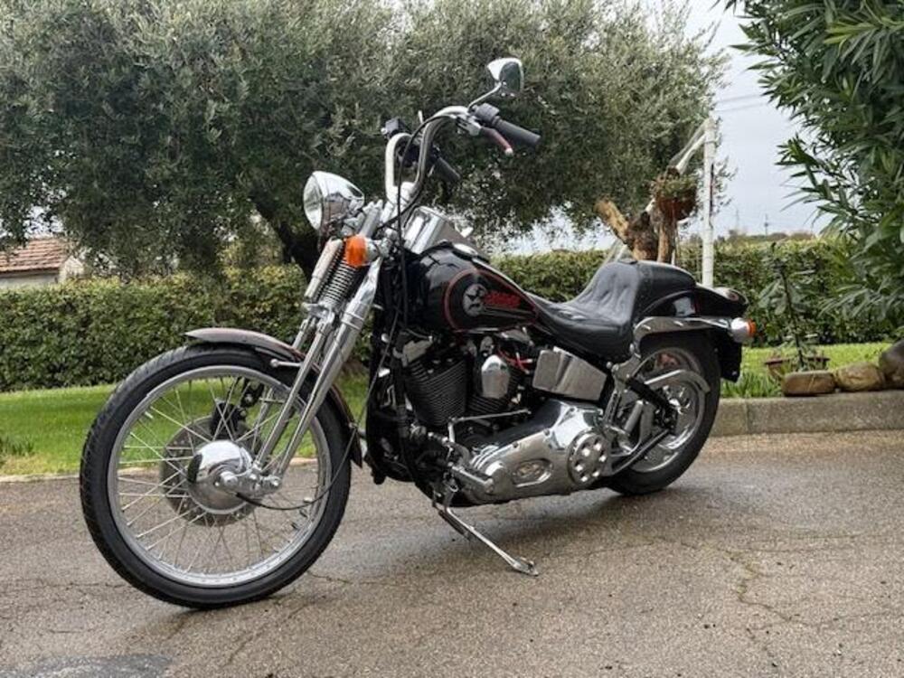 Harley-Davidson 1340 Softail Springer  (19)