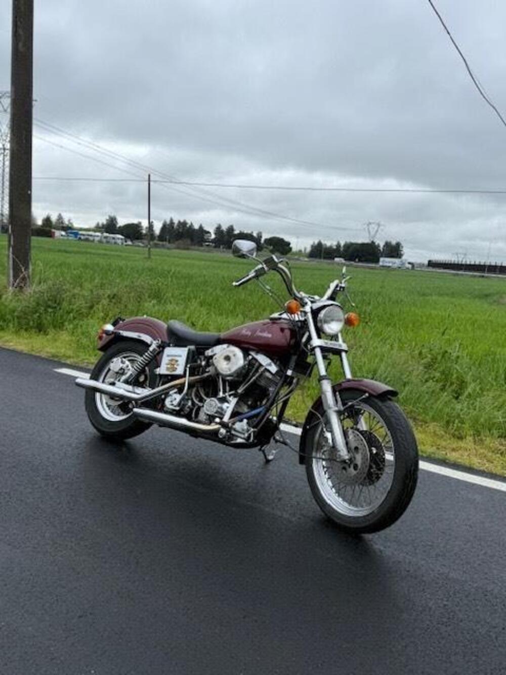 Harley-Davidson Super Glide Shovelhead (3)