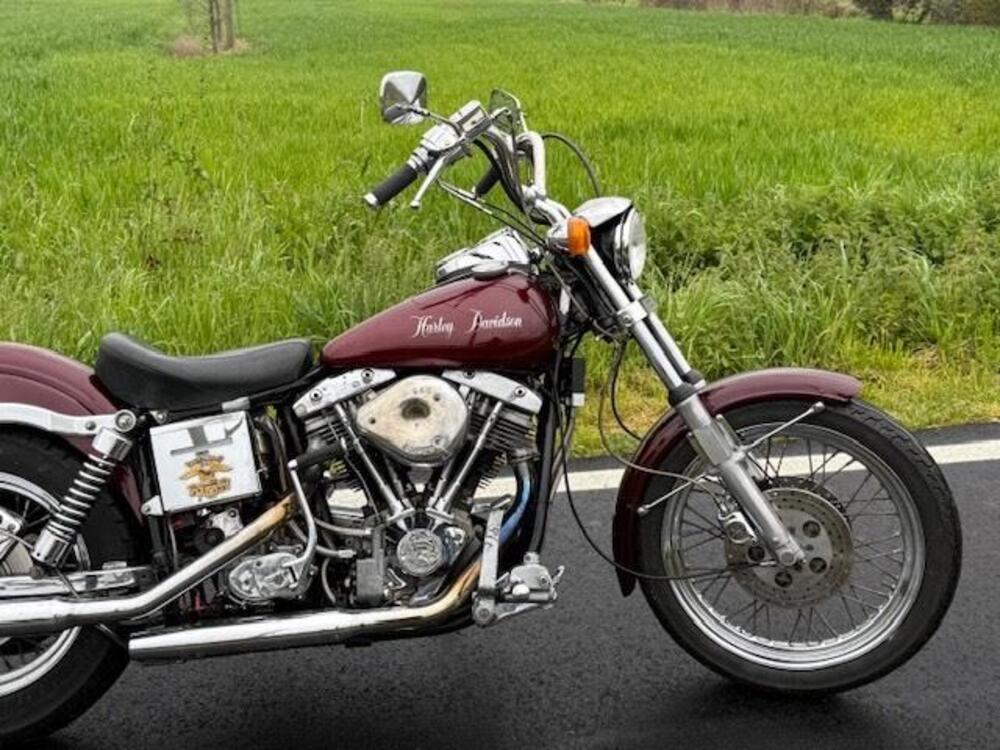 Harley-Davidson Super Glide Shovelhead (4)