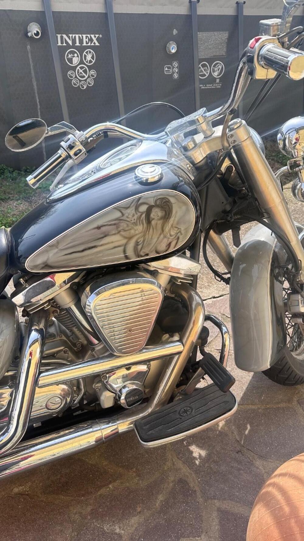 Yamaha XVS 1600 Wild Star (7)