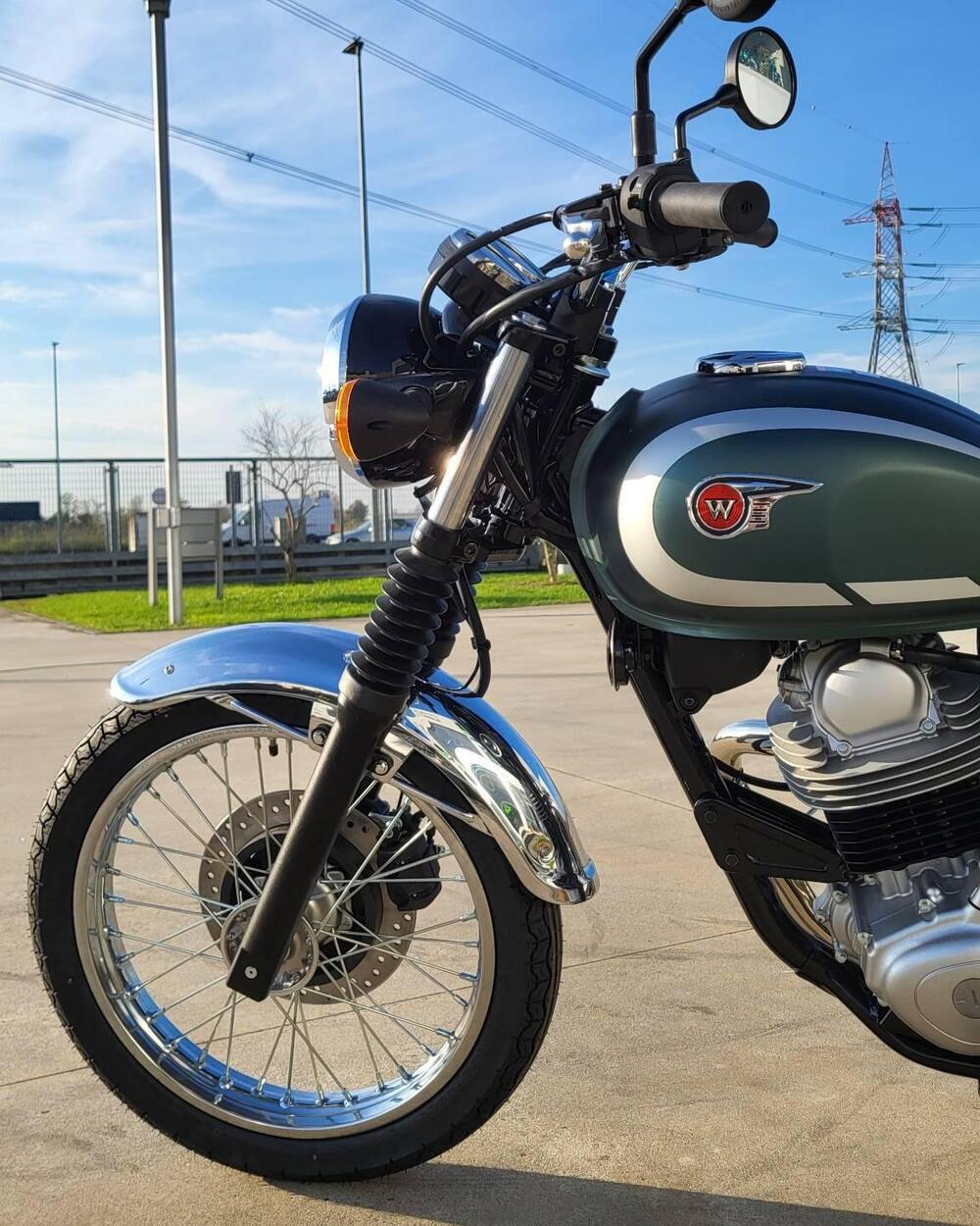 Kawasaki W 230 (2025 - 26) (4)