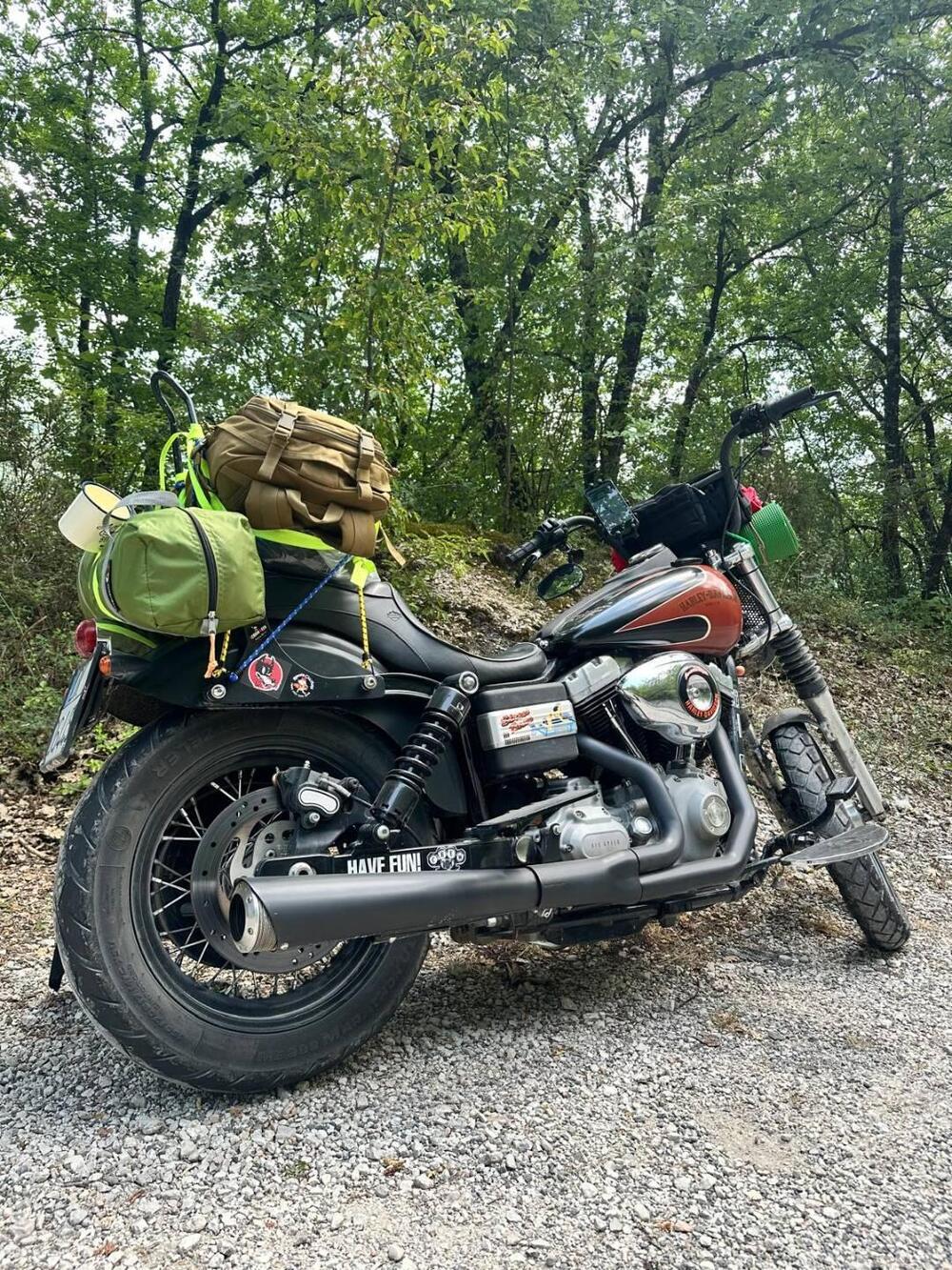 Harley-Davidson 1584 Street Bob (2008 - 15) - FXDB (2)