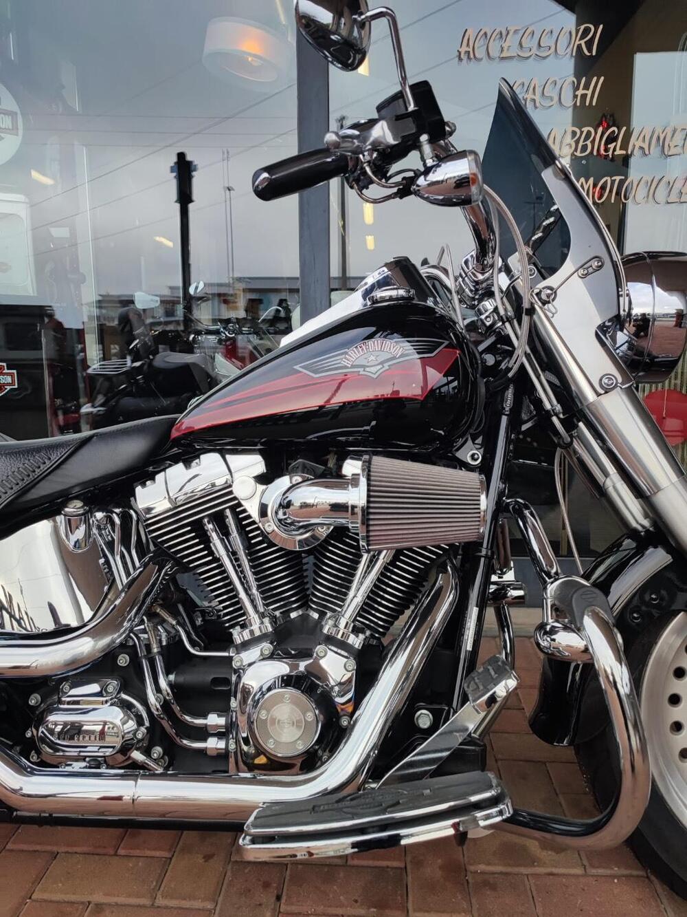 Harley-Davidson 1584 Fat Boy (2006 - 07) - FLSTF (3)