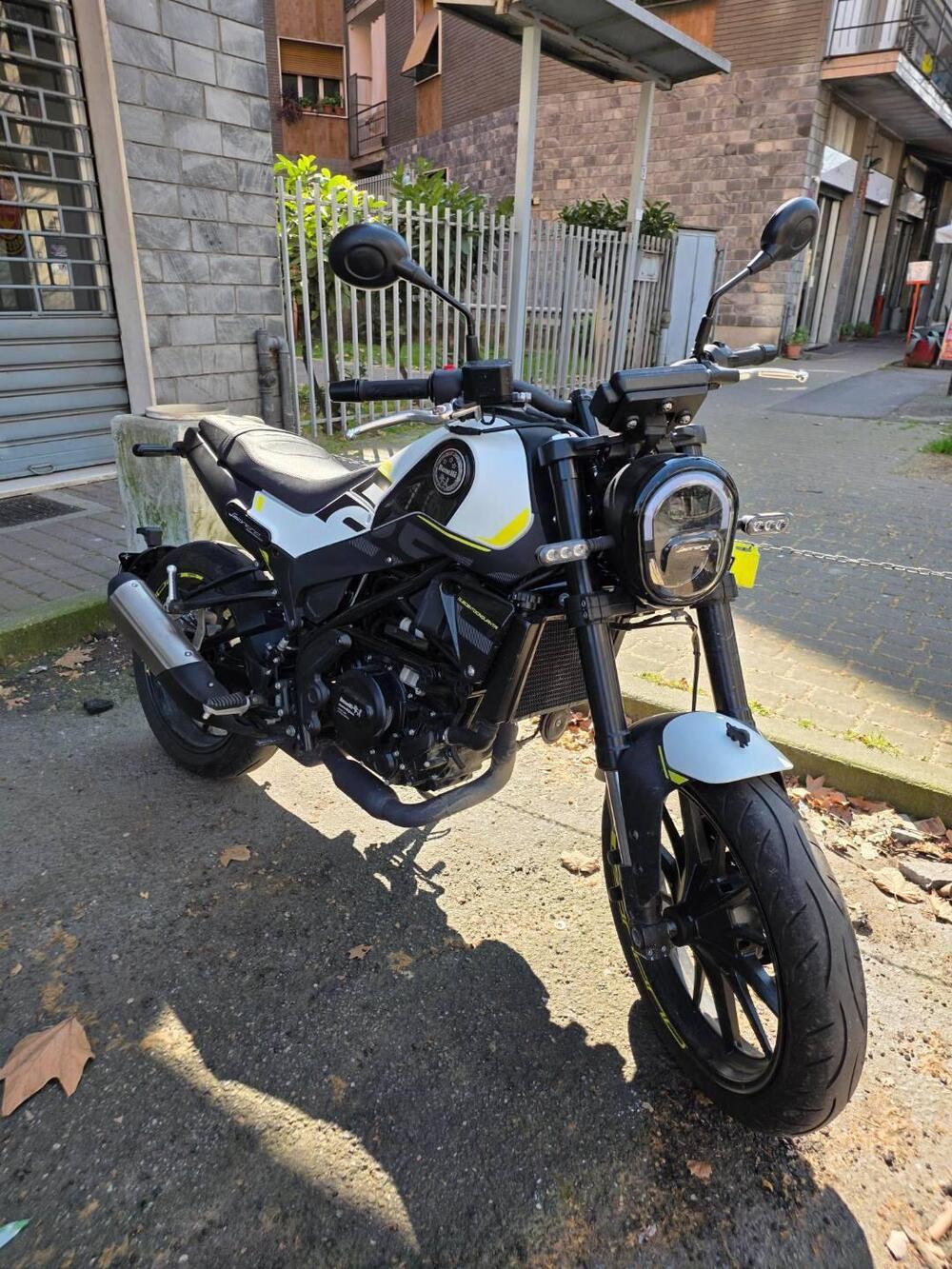 Benelli Leoncino 250 (2021 - 25) (2)