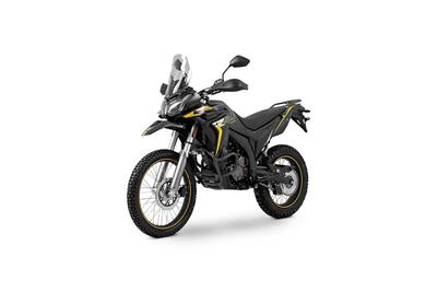 Voge Valico 300 Rally (2022 - 26) nuova