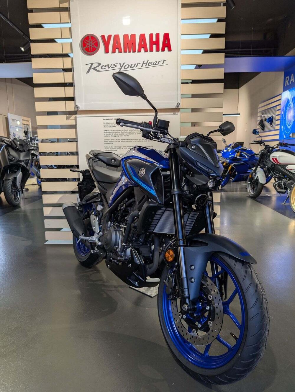 Yamaha MT-03 (2022 - 24) (2)