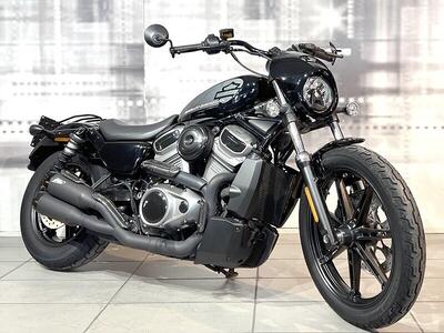 Harley-Davidson Nightster (2023 - 26) usata