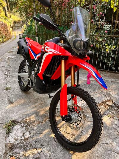Honda CRF 300 Rally (2021 - 24) usata