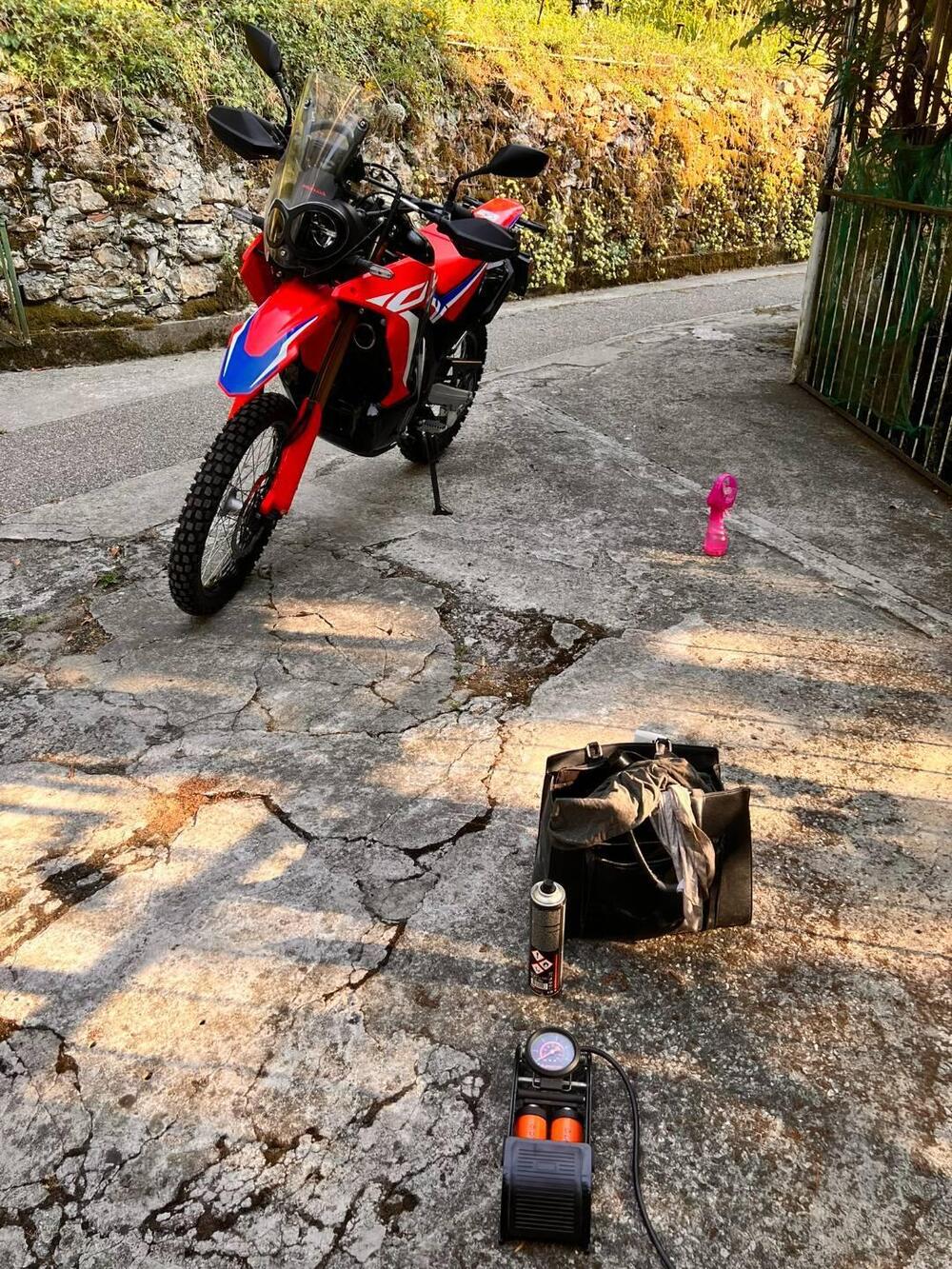 Honda CRF 300 Rally (2021 - 24) (3)