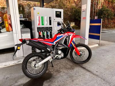 Honda CRF 300 Rally (2021 - 24) usata