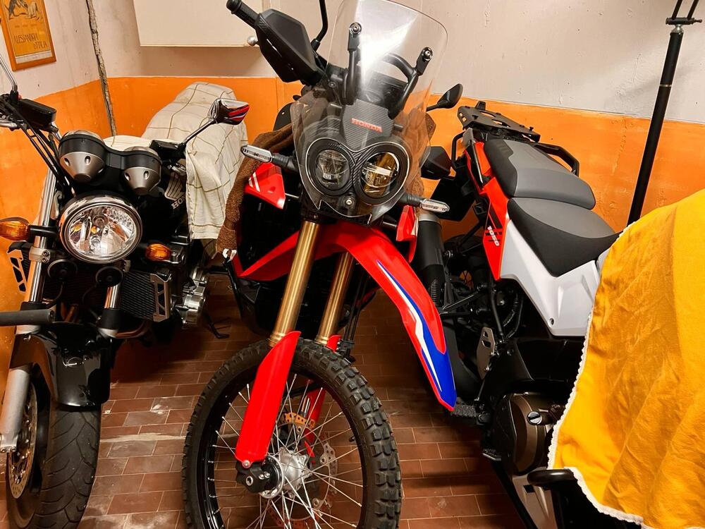 Honda CRF 300 Rally (2021 - 24) (5)