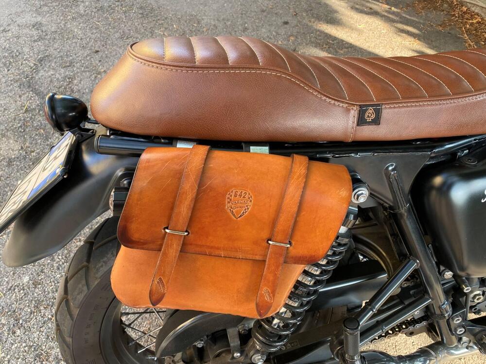 Triumph Bonneville T100 SE (2014) (2)