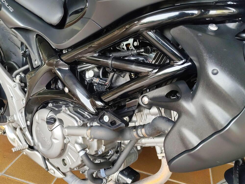 Suzuki Gladius 650 SFV (2009 - 15) (20)