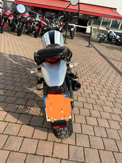 Ducati Scrambler 800 Classic (2017 - 18) usata