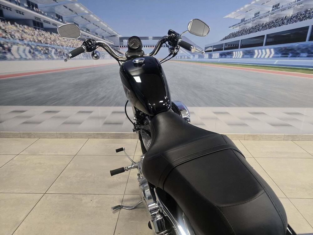 Harley-Davidson 883 Low (2006 - 07) - XL 883L (6)