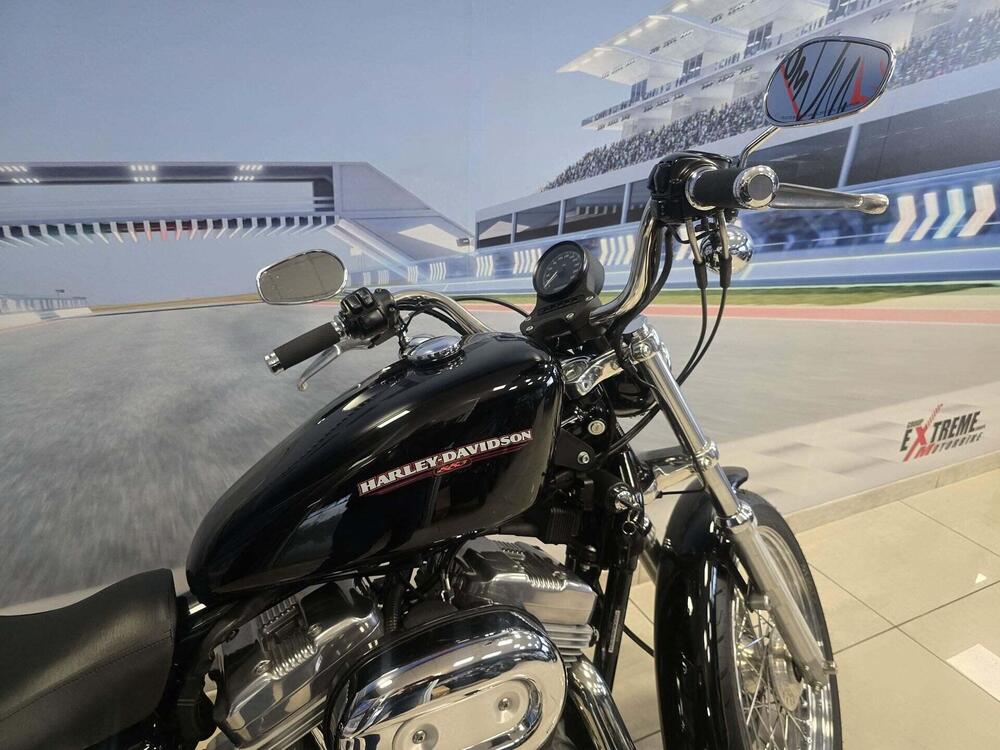 Harley-Davidson 883 Low (2006 - 07) - XL 883L (19)