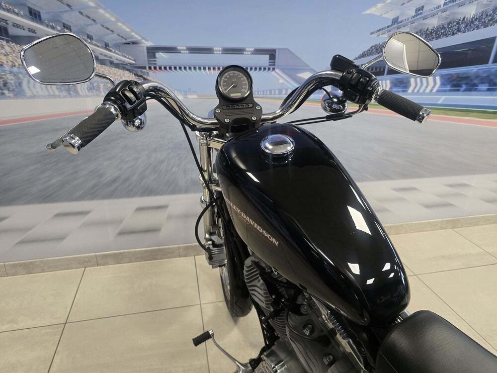 Harley-Davidson 883 Low (2006 - 07) - XL 883L (20)