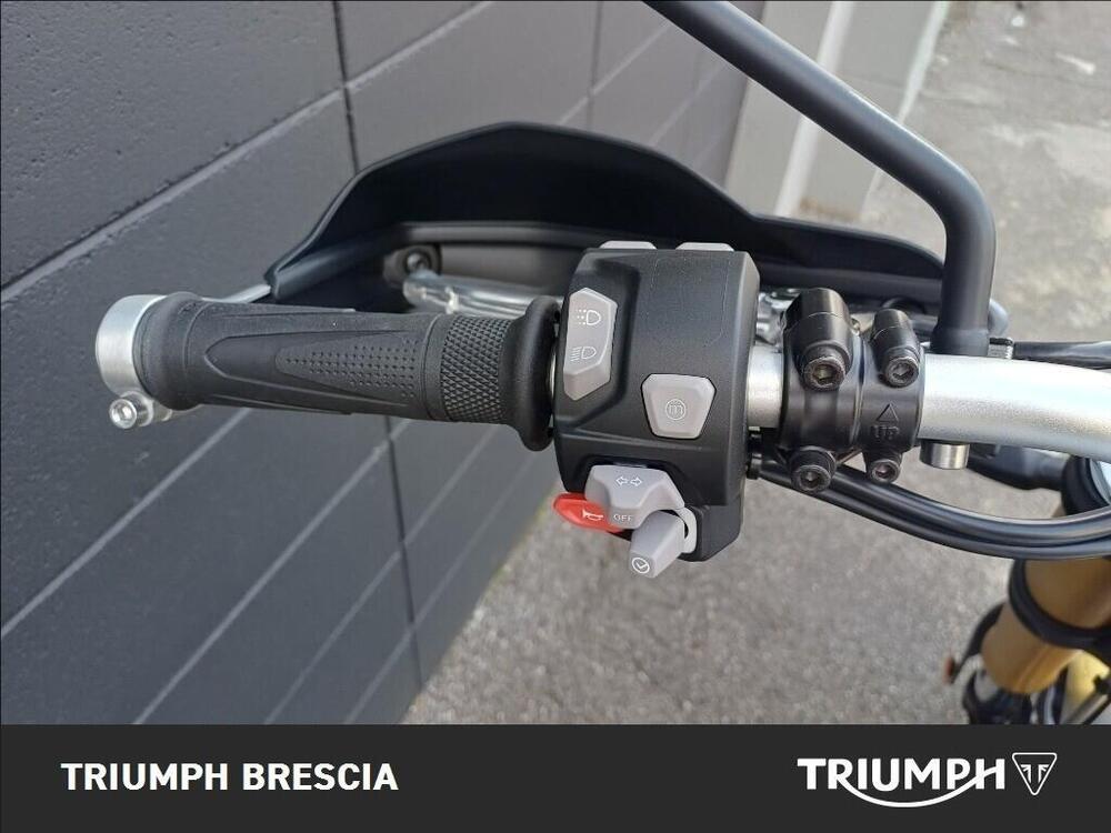 Triumph Scrambler 1200 XE Icon Edition (2025 - 26) (9)