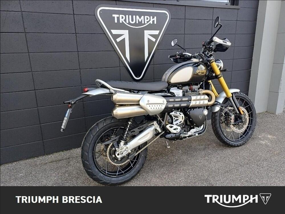 Triumph Scrambler 1200 XE Icon Edition (2025 - 26) (3)