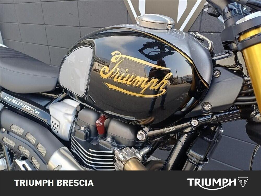 Triumph Scrambler 1200 XE Icon Edition (2025 - 26) (7)