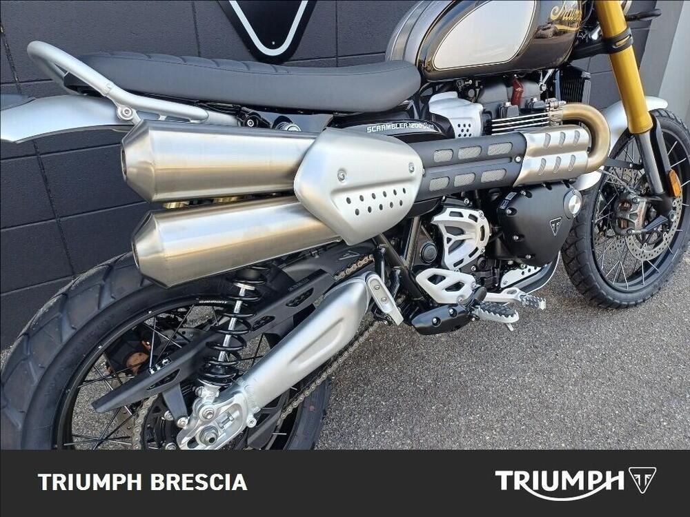 Triumph Scrambler 1200 XE Icon Edition (2025 - 26) (5)