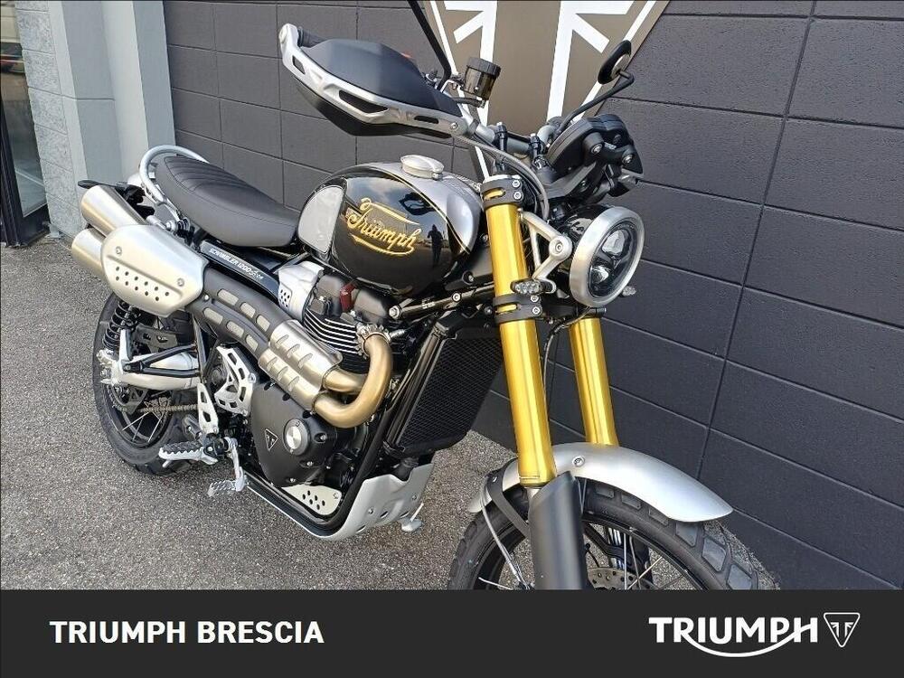 Triumph Scrambler 1200 XE Icon Edition (2025 - 26) (8)