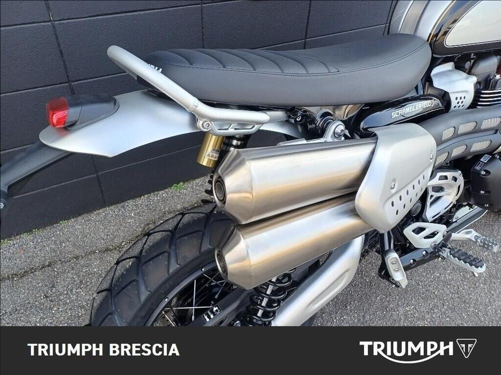 Triumph Scrambler 1200 XE Icon Edition (2025 - 26) (4)