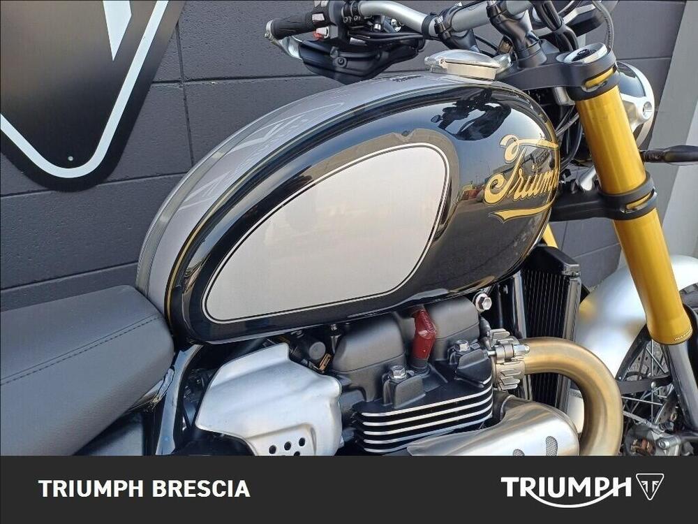 Triumph Scrambler 1200 XE Icon Edition (2025 - 26) (6)