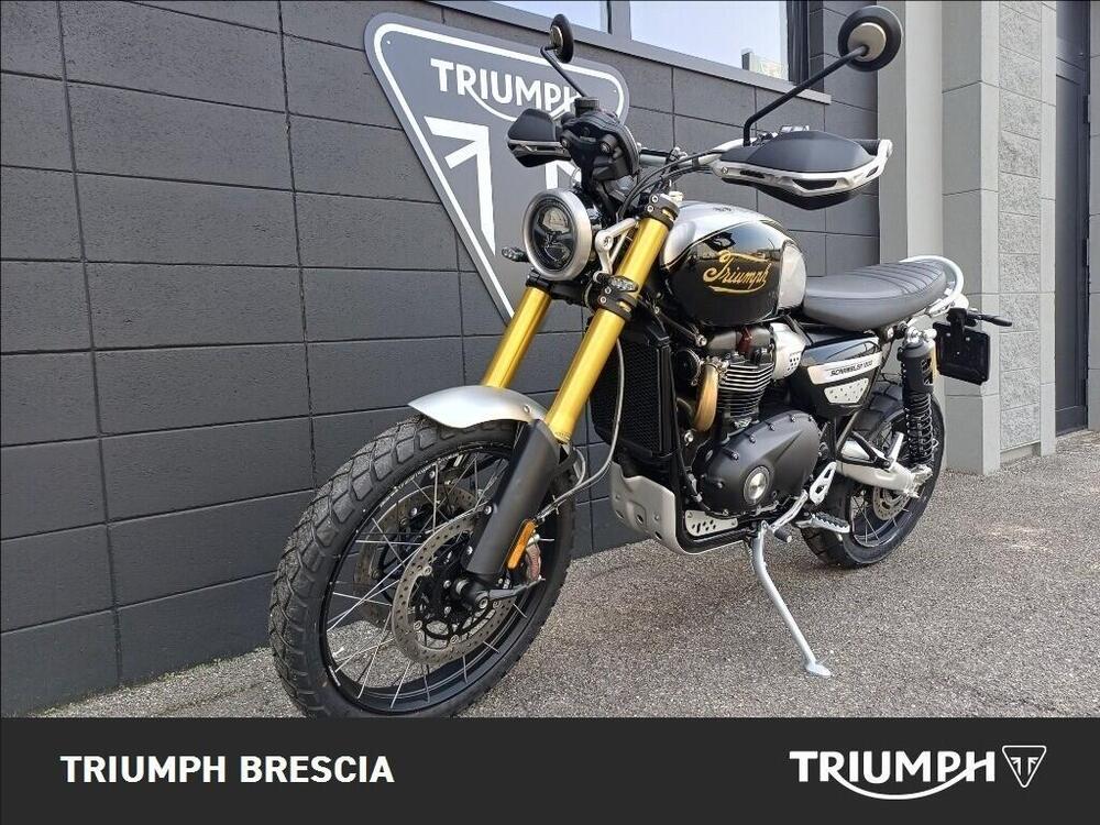 Triumph Scrambler 1200 XE Icon Edition (2025 - 26) (13)