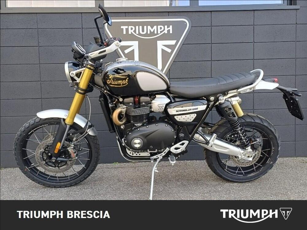 Triumph Scrambler 1200 XE Icon Edition (2025 - 26) (12)