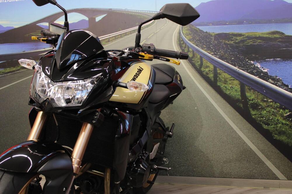 Kawasaki Z 750 R (2011 - 14) (11)