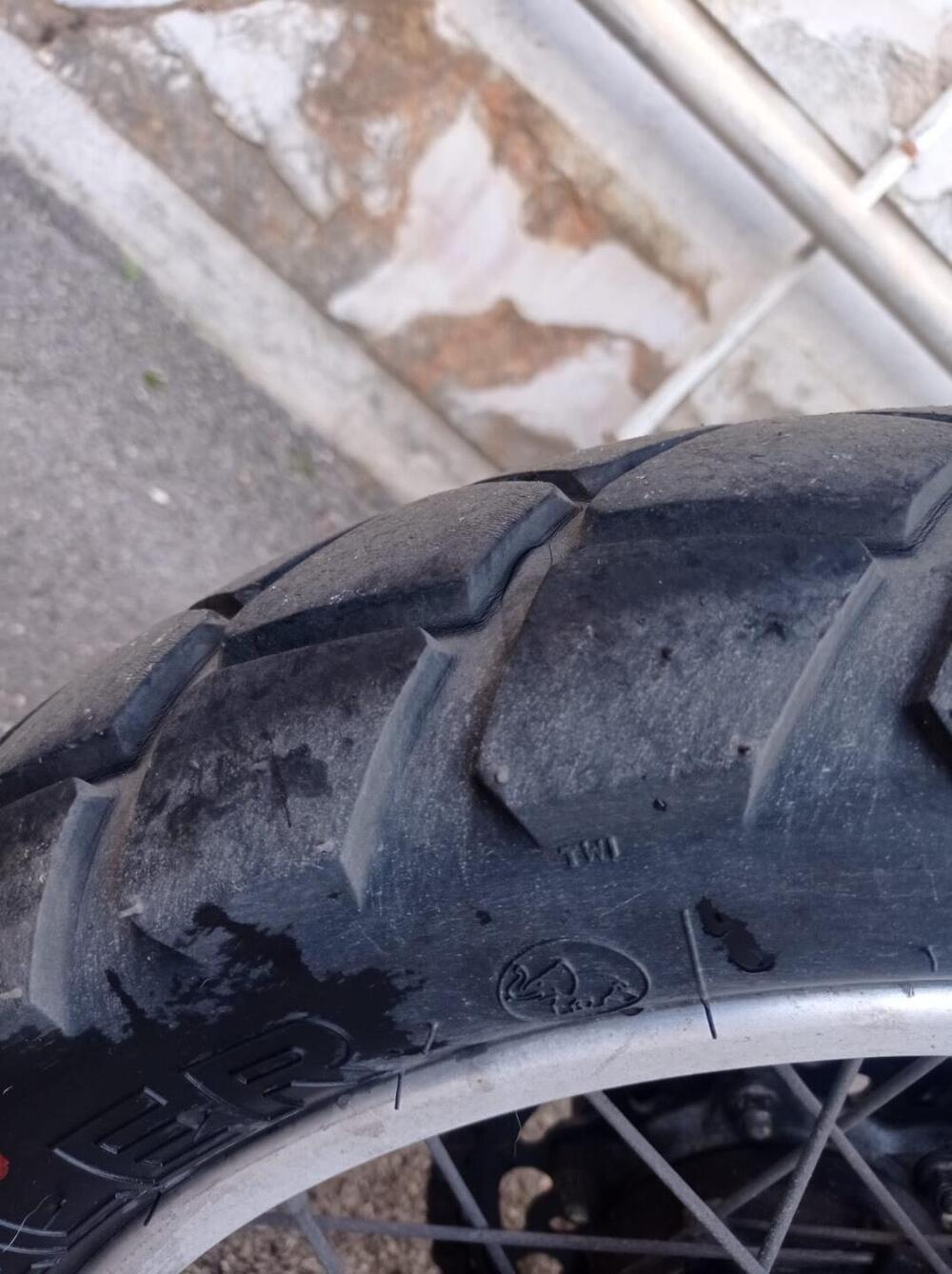 Honda Transalp XL 650V (2000 - 04) (6)