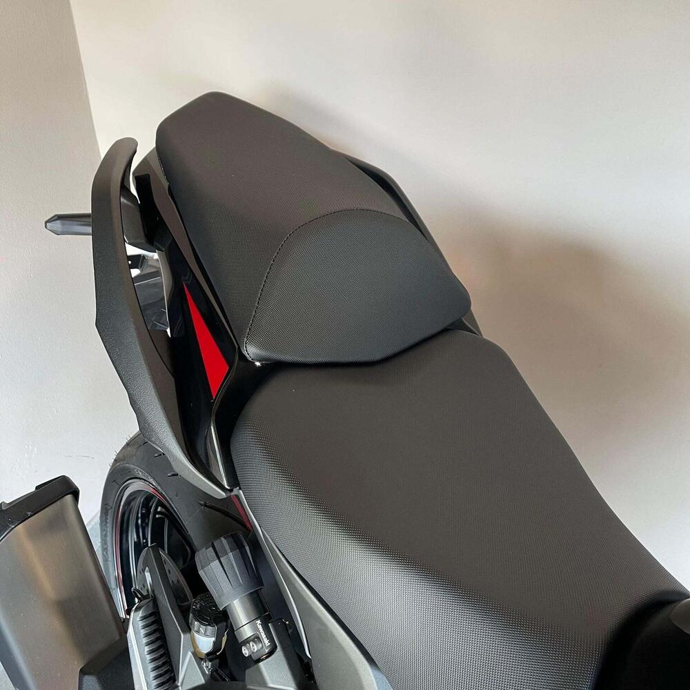 Kawasaki Ninja 1000 SX (2021 - 24) (6)