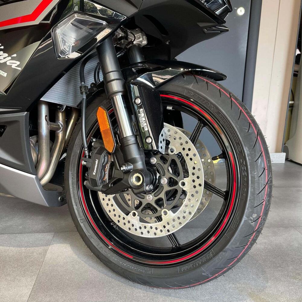 Kawasaki Ninja 1000 SX (2021 - 24) (9)
